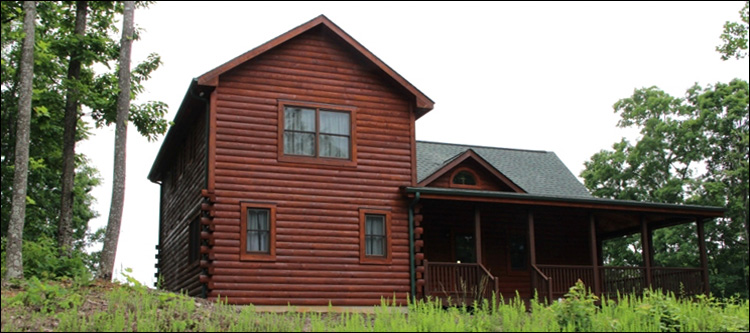 Professional Log Home Borate Application  Newville, Alabama